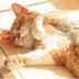 wannawow