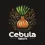 CebulaTech