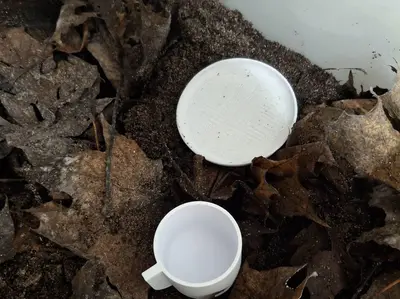 Mini Soil-Based Water Dish