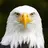 Eagle1