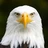 Eagle1