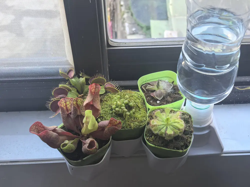 automatic watering flowerpot with check valve 带止水阀的自动补水花盆