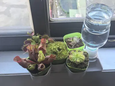 automatic watering flowerpot with check valve 带止水阀的自动补水花盆