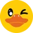 DuckyPrinted