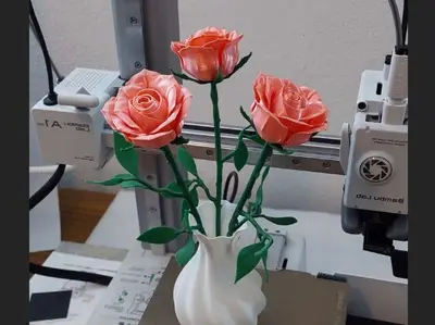 Rosa con Tallo (remezcla)