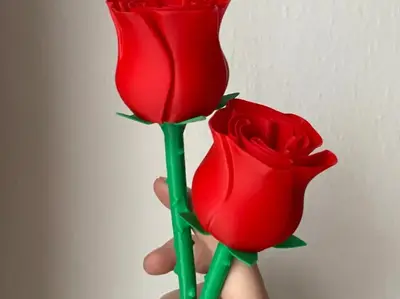 Bellísima rosa con tallo - Regalo para el día de San Valentín