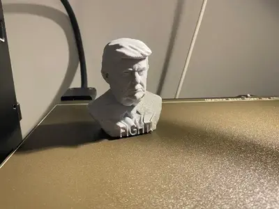 Donald Trump Fight! Bust