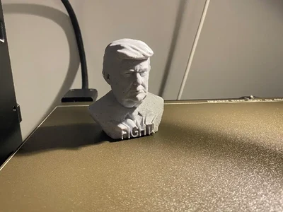 Donald Trump Fight! Bust
