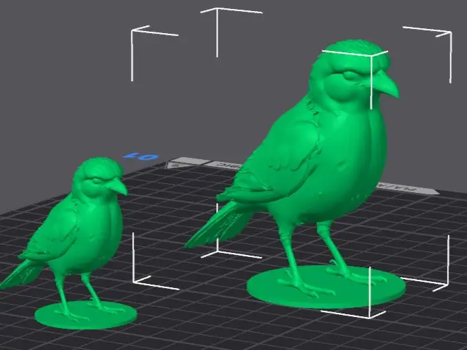 Bird