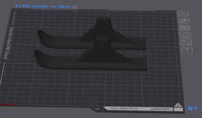 1/10 scale rc skis