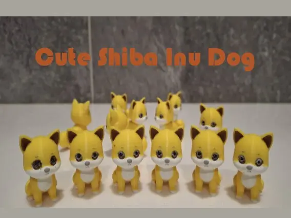 Cute Shiba Inu Dog