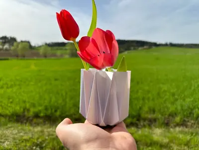 Star vase