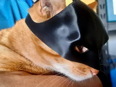 Batman Cat Mask