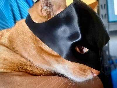 Batman Cat Mask