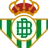 Casi300