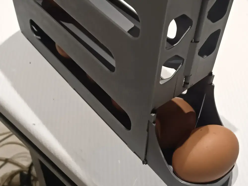 Egg Storage and Distribution Shelf