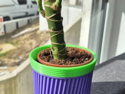 Plant pot