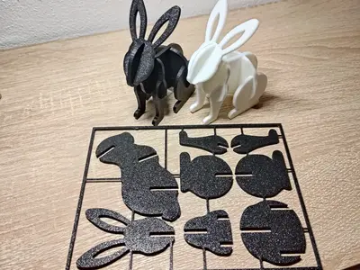 Rabbit Kit Card