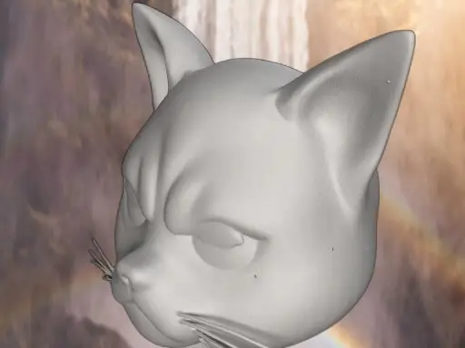 Grumpy Cat