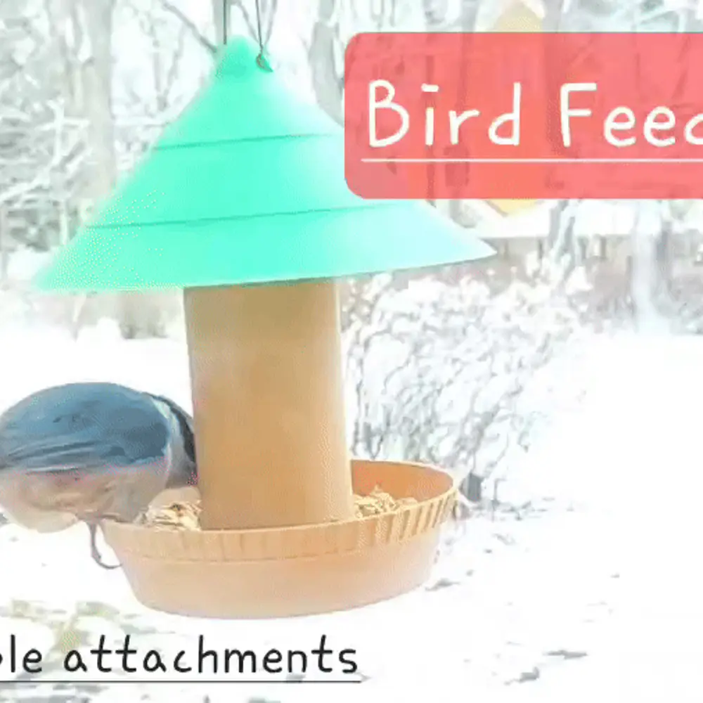 Bird Feeder