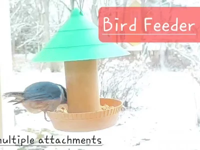 Bird Feeder