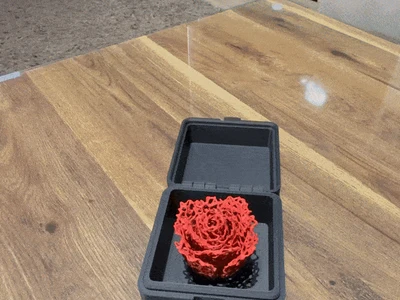 ETERNAL FLOWERS IN A BOX / PRINT IN PLACE BOX