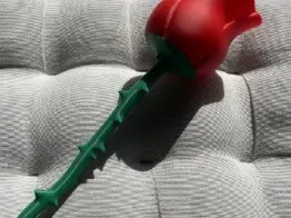 玫瑰花