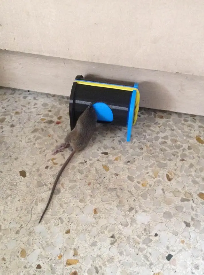Sliding Tube Mousetrap