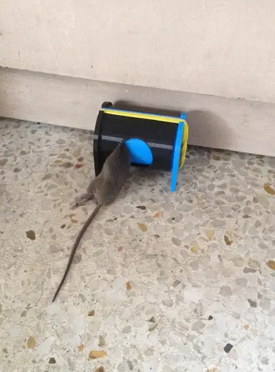 Sliding Tube Mousetrap