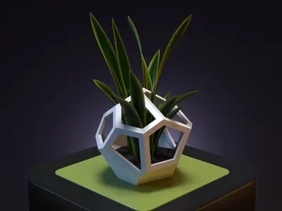 VORONOI house for flowers
