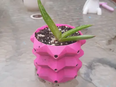 Octa pot plant (macetero octagonal)