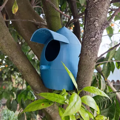 Bird House