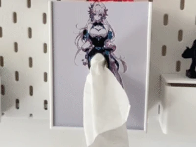 换裙抽纸盒 适配宜家洞洞板