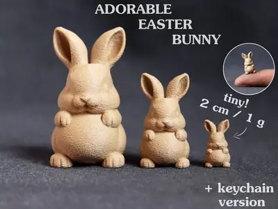 Adorable Bunny