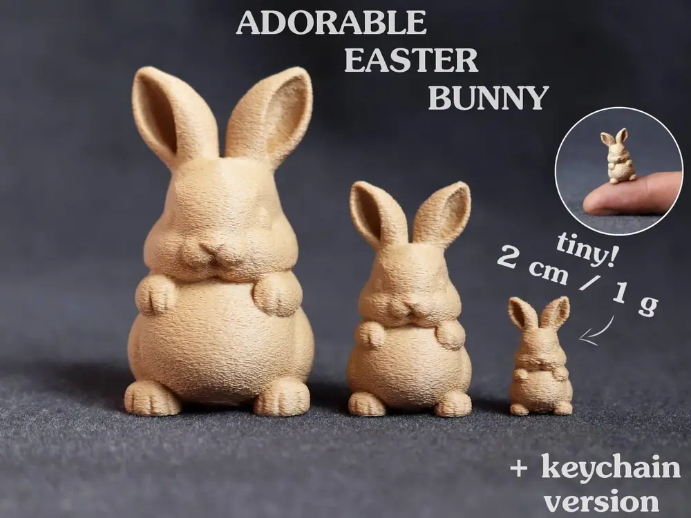 Adorable Bunny