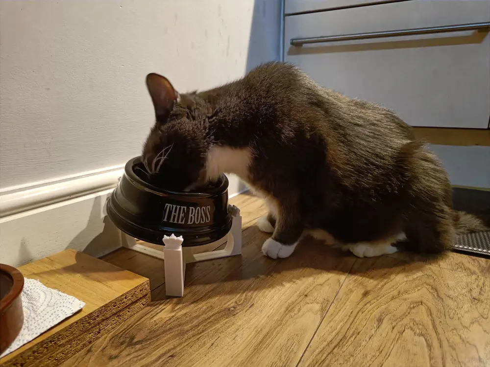 Pet Bowl Raiser