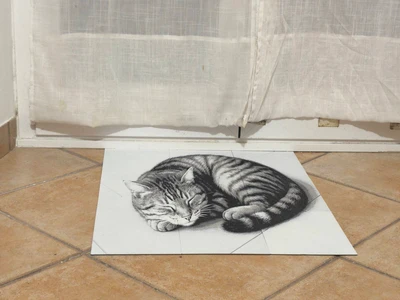 BIG Anamorphic cat with Hueforge technique - MakerOnline 3D Model | 3Drop
