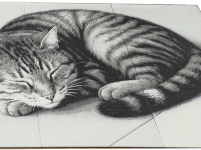 BIG Anamorphic cat with Hueforge technique - MakerOnline 3D Model | 3Drop