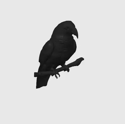 loro parrot