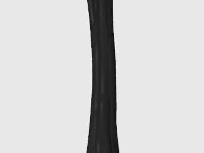 human femur