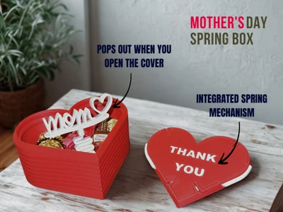 MOTHERSDAY BOX (WITH SPRING MECHANISM) / MOTHERSDAY GIFT