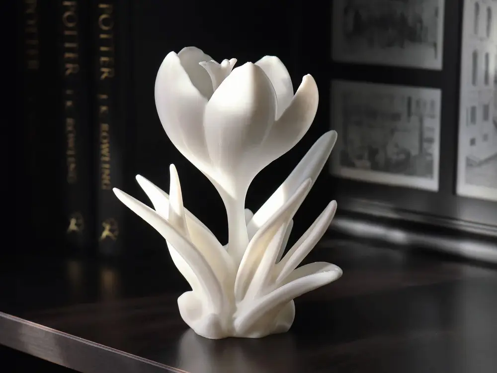 Crocus