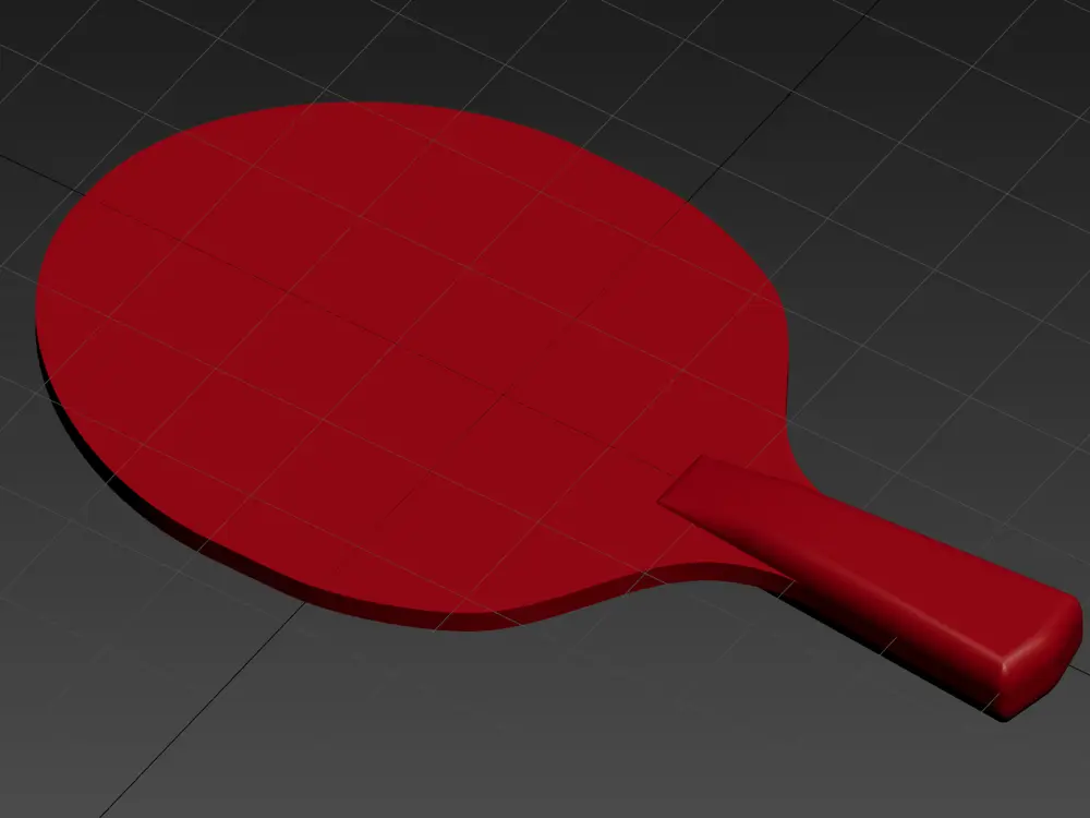 Table Tennis Paddle