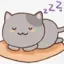 包子是只猫