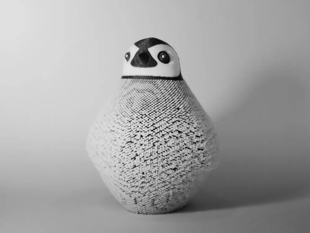 Baby Penguin