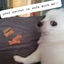 MrManiac