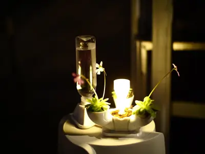 Automatic watering flower pot with (solar) insect trap light.