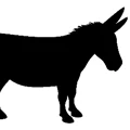 TimmSander