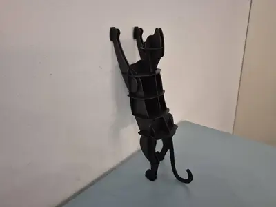 Cat Shelf