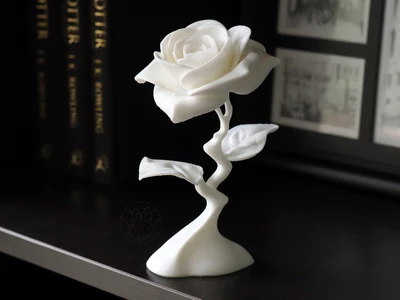 Modern Rose